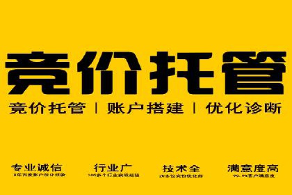 百度推广在电商行业的应用案例分析